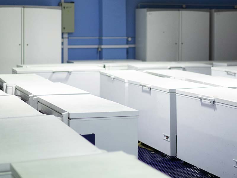 LoTemp Sense LoTemp Sense